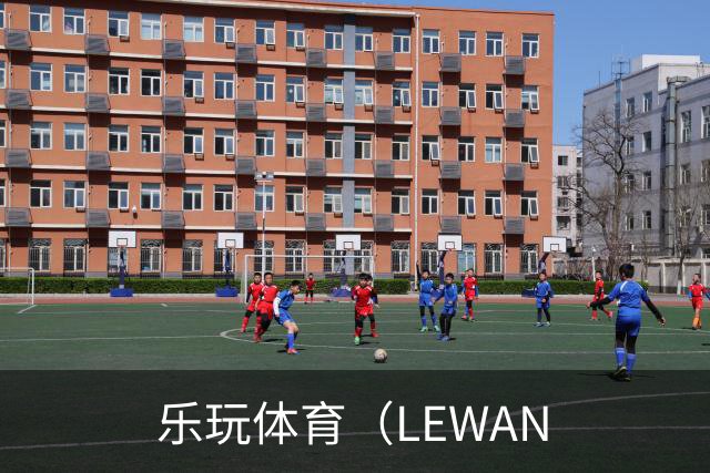 乐玩体育（LEWAN